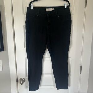 torrid Denim Jeggings